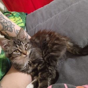 Meet your Posher, Melissa